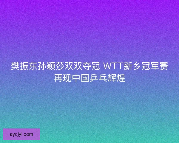 樊振东孙颖莎双双夺冠 WTT新乡冠军赛再现中国乒乓辉煌