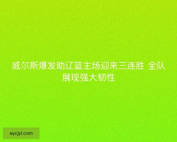 威尔斯爆发助辽篮主场迎来三连胜 全队展现强大韧性
