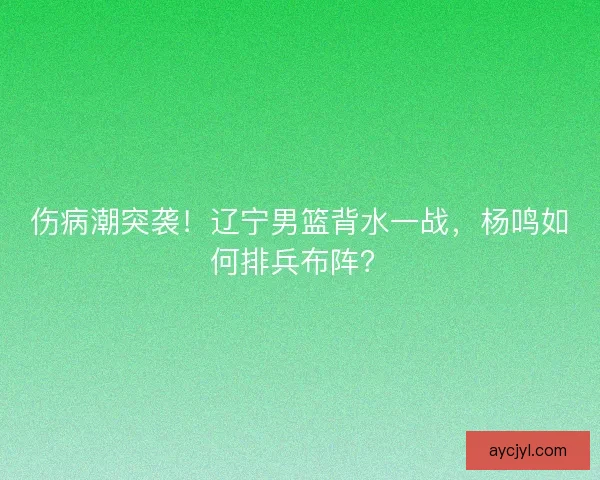 伤病潮突袭！辽宁男篮背水一战，杨鸣如何排兵布阵？
