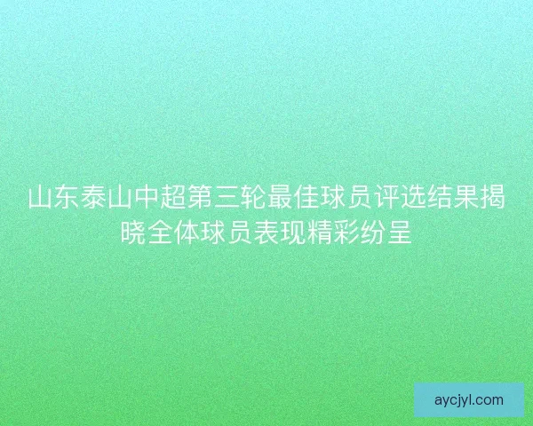 山东泰山中超第三轮最佳球员评选结果揭晓全体球员表现精彩纷呈